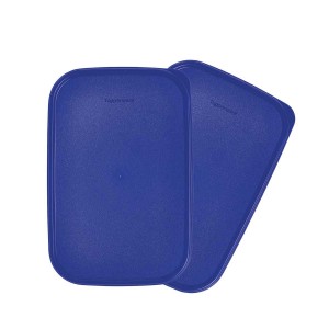 Dry Storage Tupperware Modular Mates Rectangular Seals | 28546-HIMT