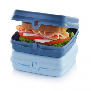 Lunch and Snacks Tupperware Eco+ Sandwich Keepers White / Blue | 94017-PQIY