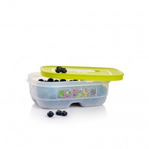 Refrigerator Storage Tupperware Fridgesmart Small Margarita | 14895-NQJI