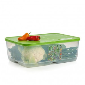 Refrigerator Storage Tupperware Fridgesmart Extra Large Lettuce Leaf | 91045-ZIAK