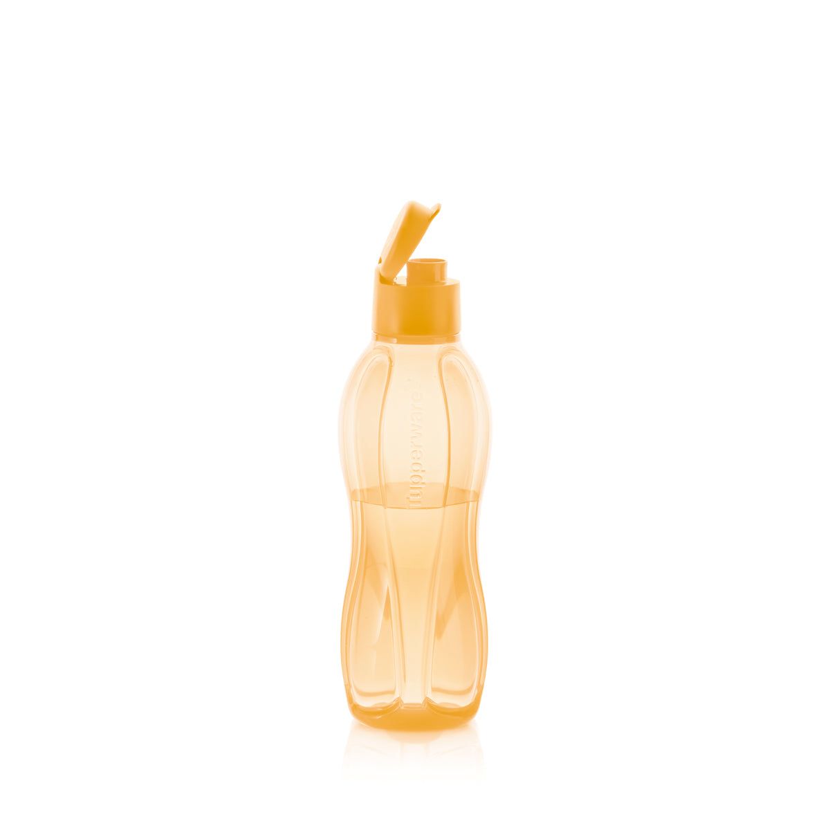 Bouteilles d\'eau Tupperware Eco Medium Bottle | 81265-RIKG