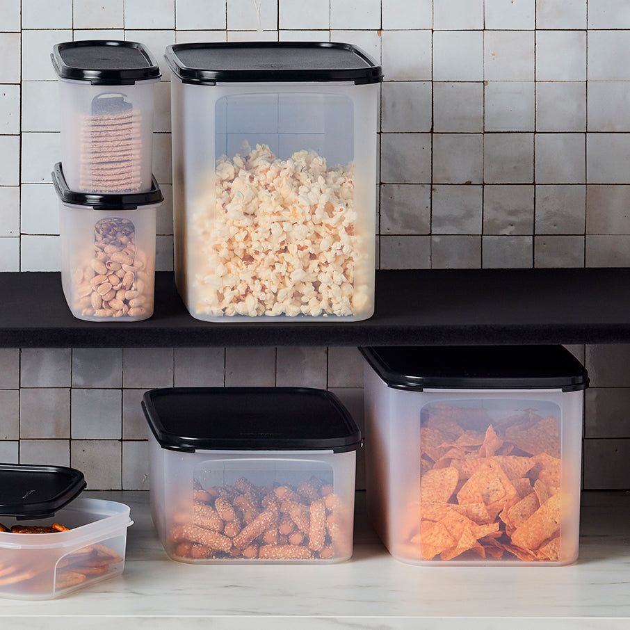 Dry Storage Tupperware Modular Mates Rectangular 2 | 12678-LDMN