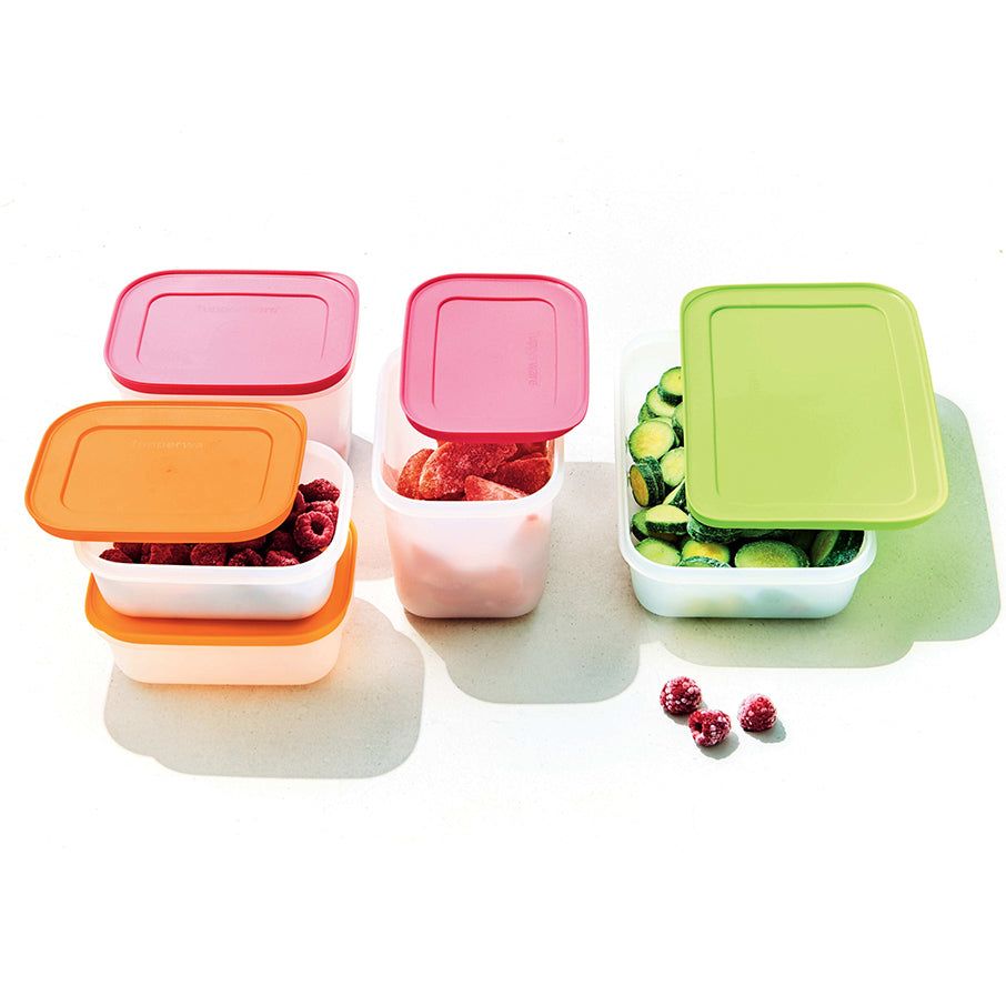 Freezer Storage Tupperware Freezer Mates Plus Medium Shallow | 69754-WOCQ