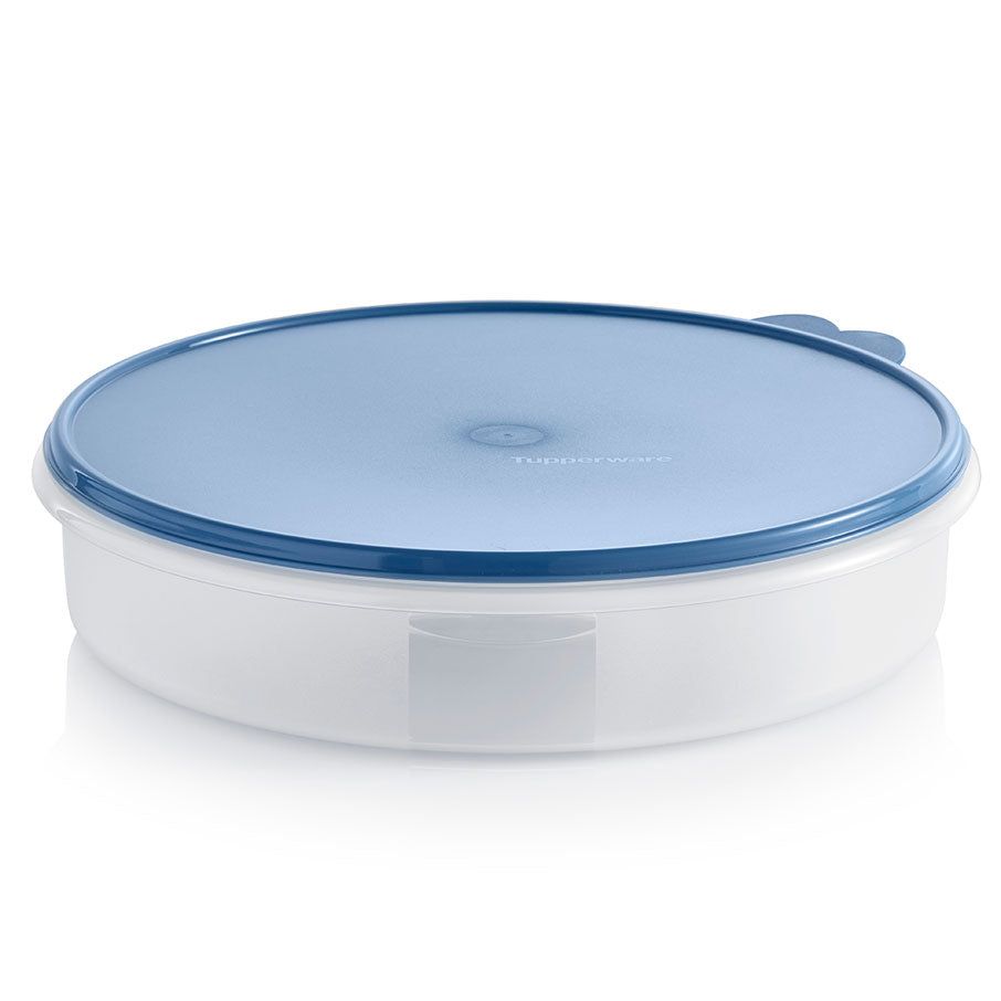 Freezer Storage Tupperware Round Container Dragonfly | 42035-RILS