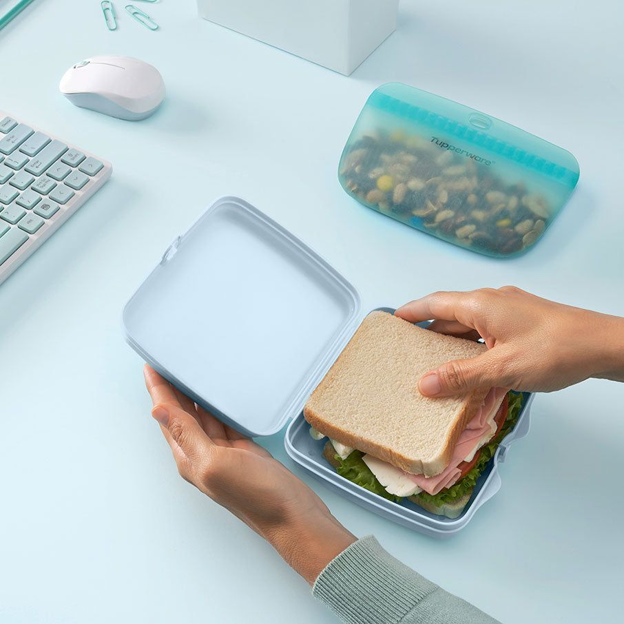 Lunch and Snacks Tupperware Eco+ Sandwich Keepers White / Blue | 94017-PQIY