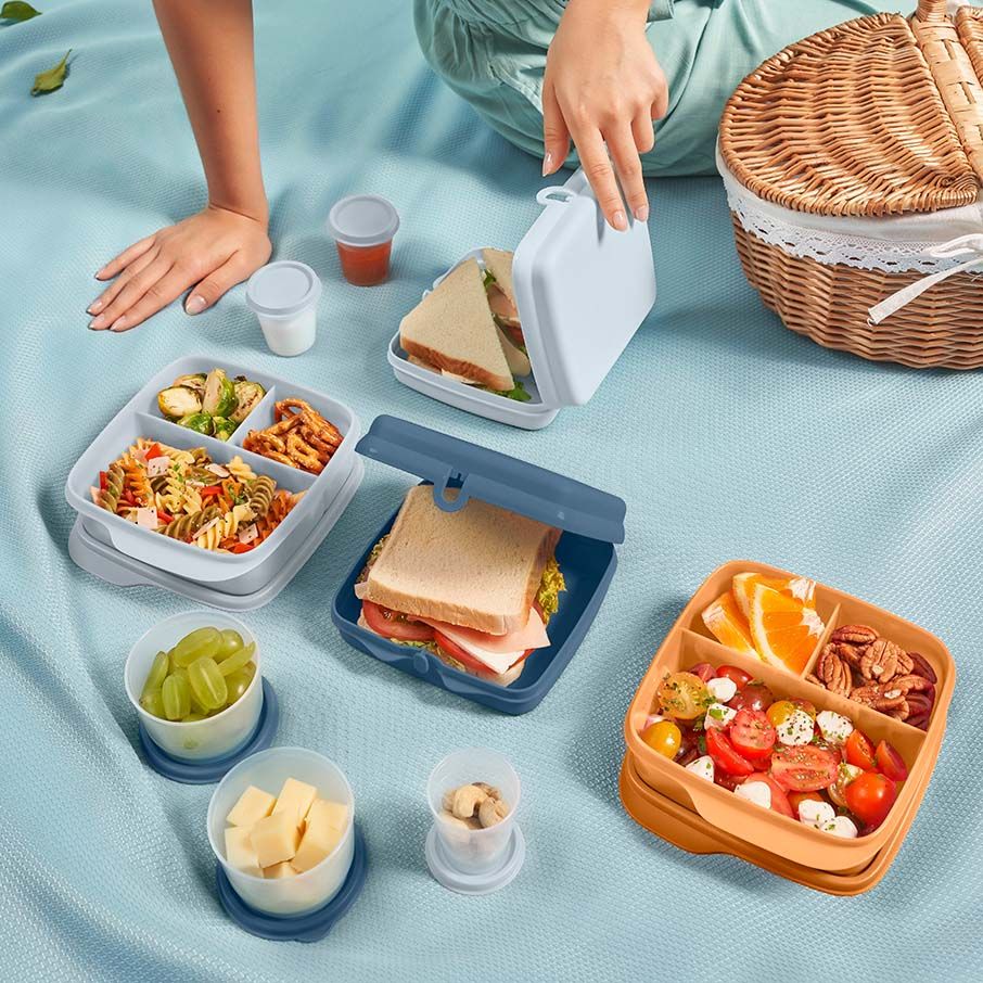 Lunch and Snacks Tupperware Eco+ Sandwich Keepers White / Blue | 94017-PQIY