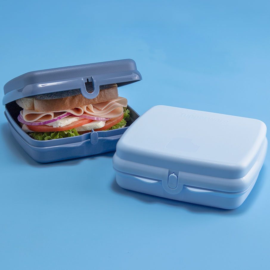 Lunch and Snacks Tupperware Eco+ Sandwich Keepers White / Blue | 94017-PQIY