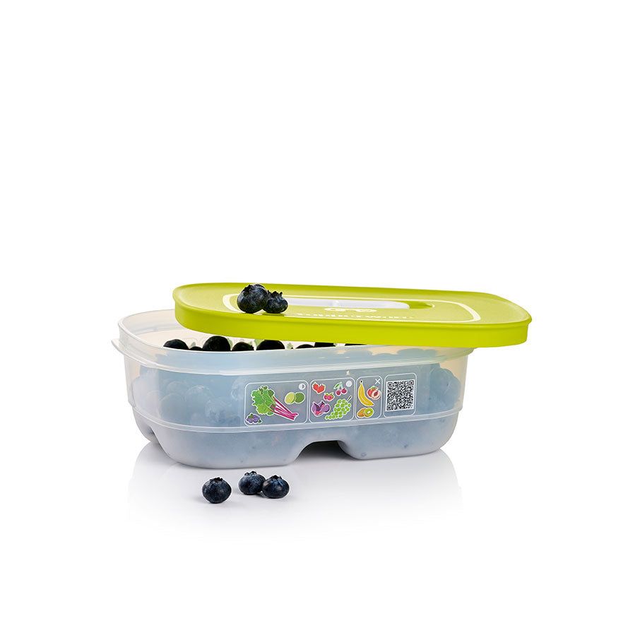 Refrigerator Storage Tupperware Fridgesmart Small Margarita | 14895-NQJI