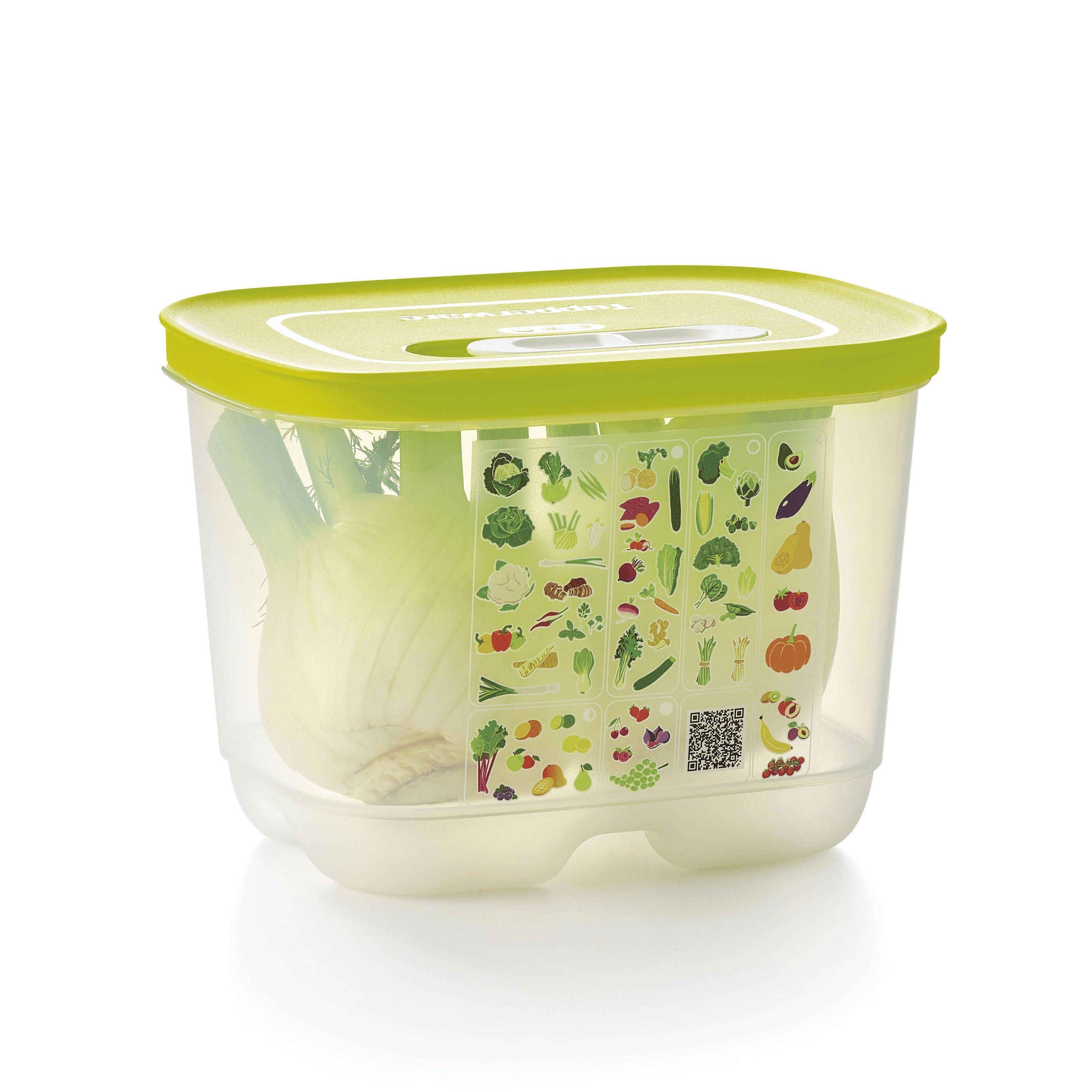 Refrigerator Storage Tupperware Fridgesmart Small Deep | 31950-ULKR