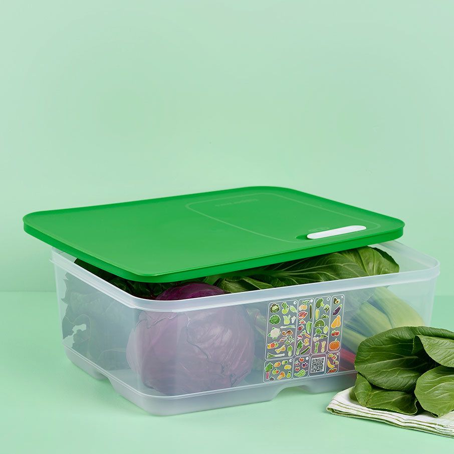 Refrigerator Storage Tupperware Fridgesmart Extra Large Lettuce Leaf | 91045-ZIAK