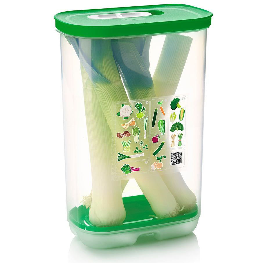Refrigerator Storage Tupperware Fridgesmart Vertical Green | 63497-MWPD