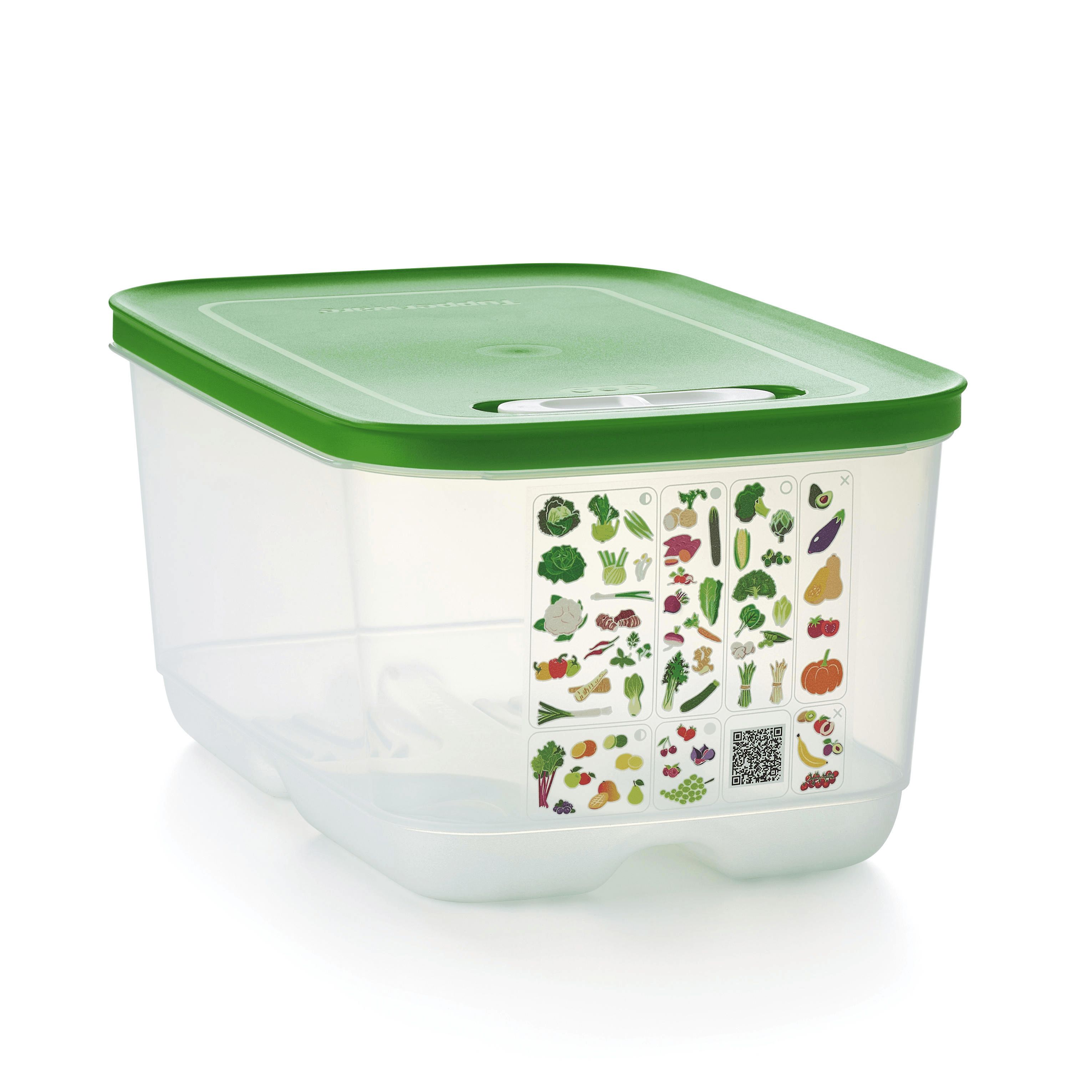 Refrigerator Storage Tupperware Fridgesmart Medium Deep Green | 73291-OYWG