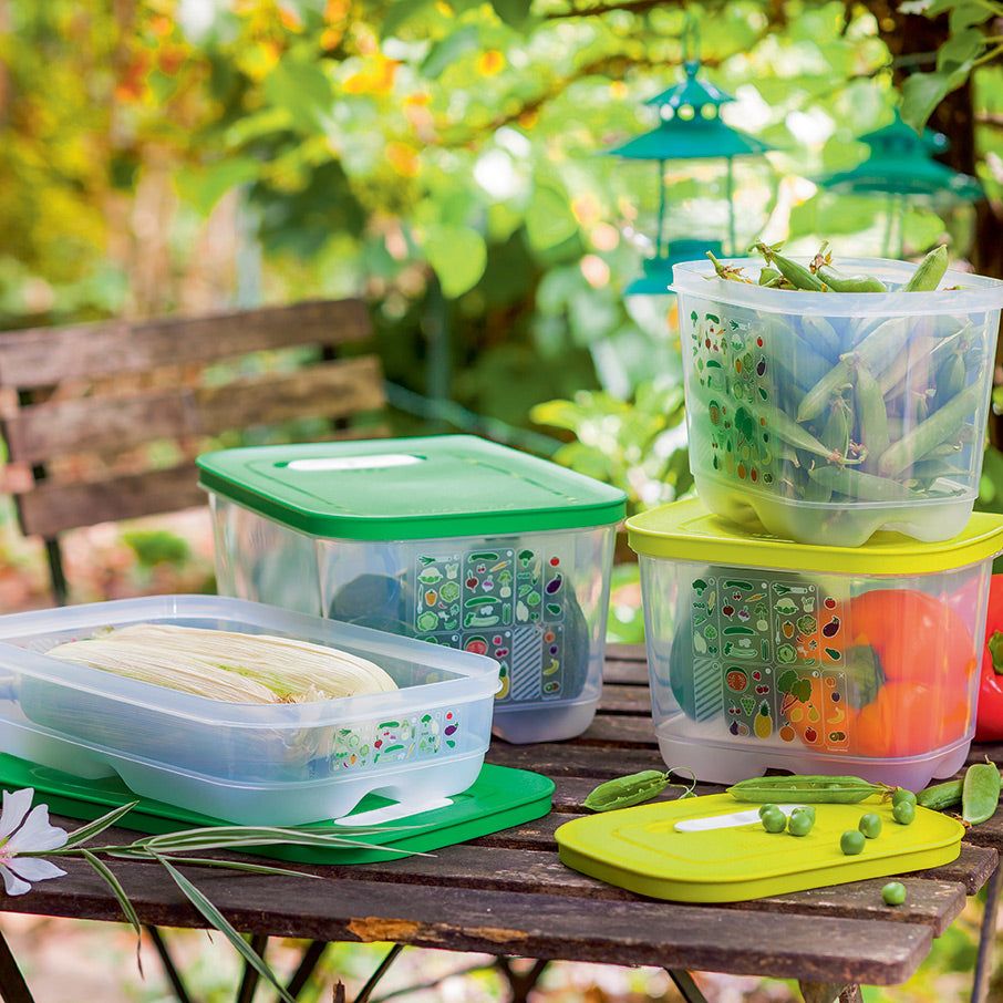 Refrigerator Storage Tupperware Fridgesmart 4-pc. Starter Set Green / Deep | 57638-SULF