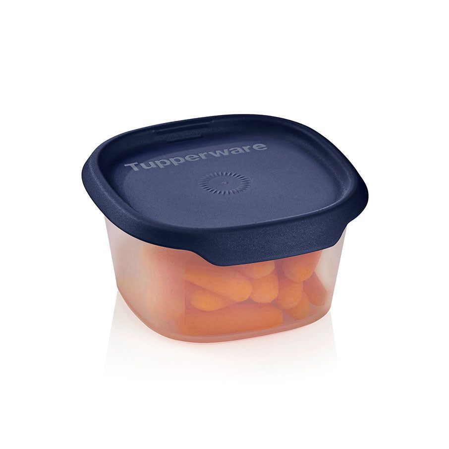 Refrigerator Storage Tupperware One Touch Fresh Small Square 1 1/2-cup/370 Ml Nocturnal Sea | 28734-JHSR