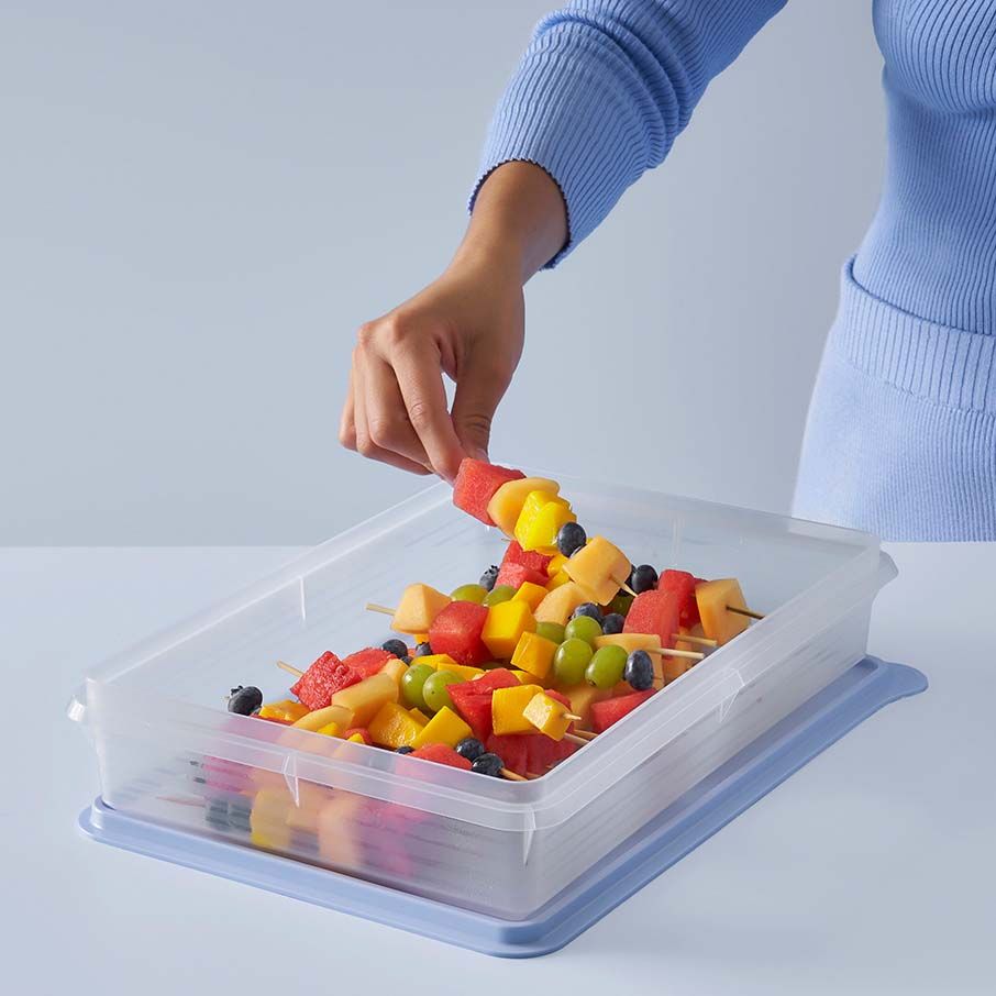 Refrigerator Storage Tupperware Snack-stor Large Container Ice Cube | 46790-QGIS
