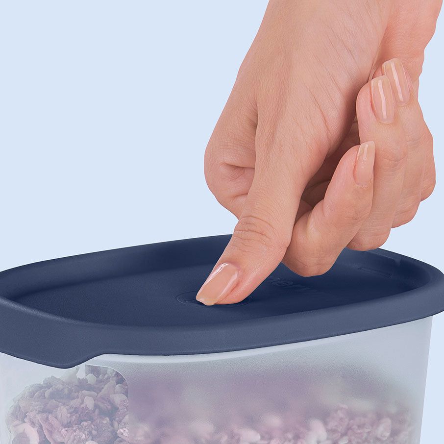 Versatile Storage Tupperware One Touch Fresh Oval 3-pc. Set | 89054-QFZR